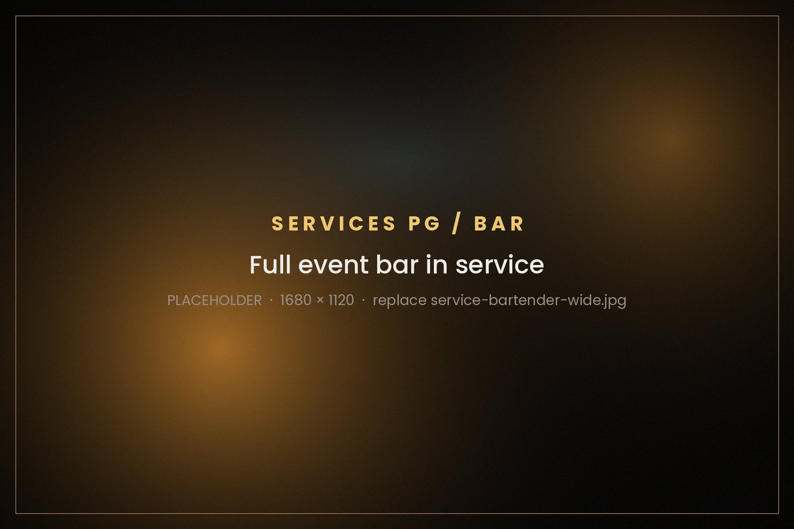 Professional Bartender Services